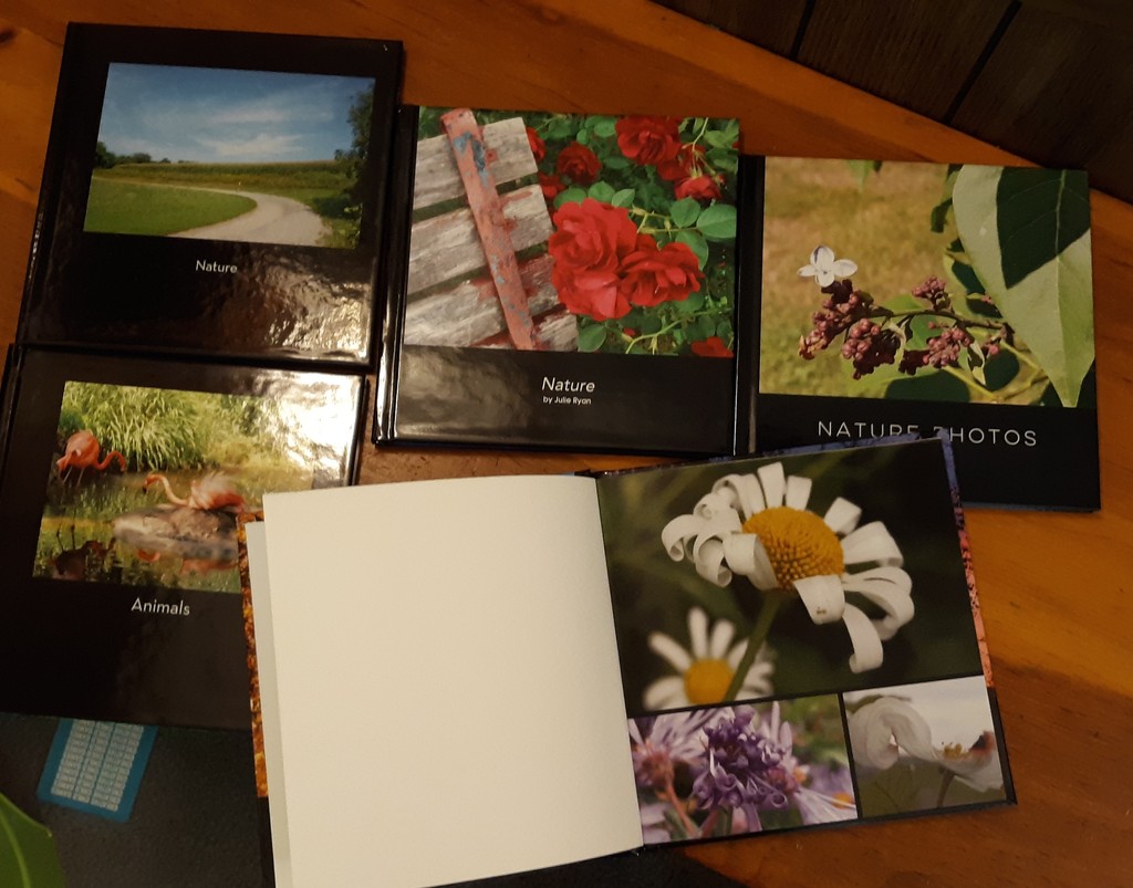 Photo Books by julie