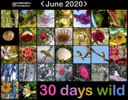 1st Jul 2020 - and that was June
