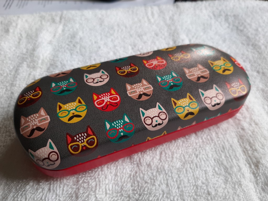glasses case by mozette