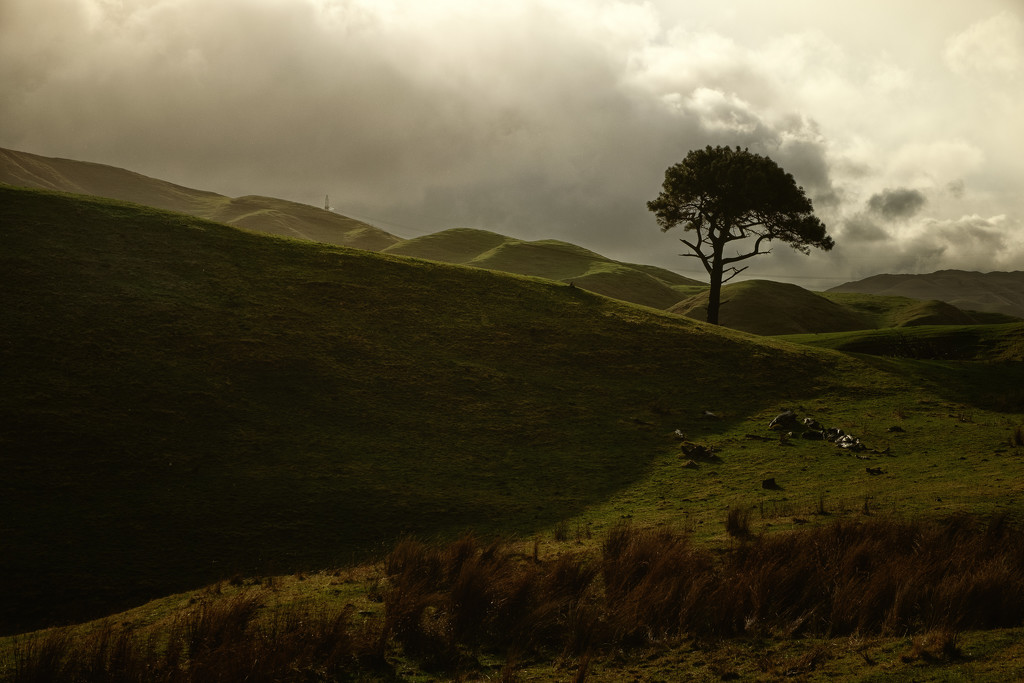 Lone Tree Valley by helenw2