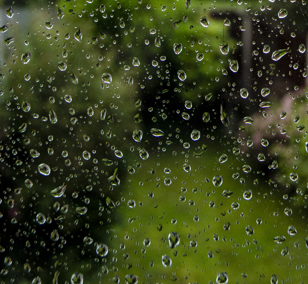 Raining by clivee