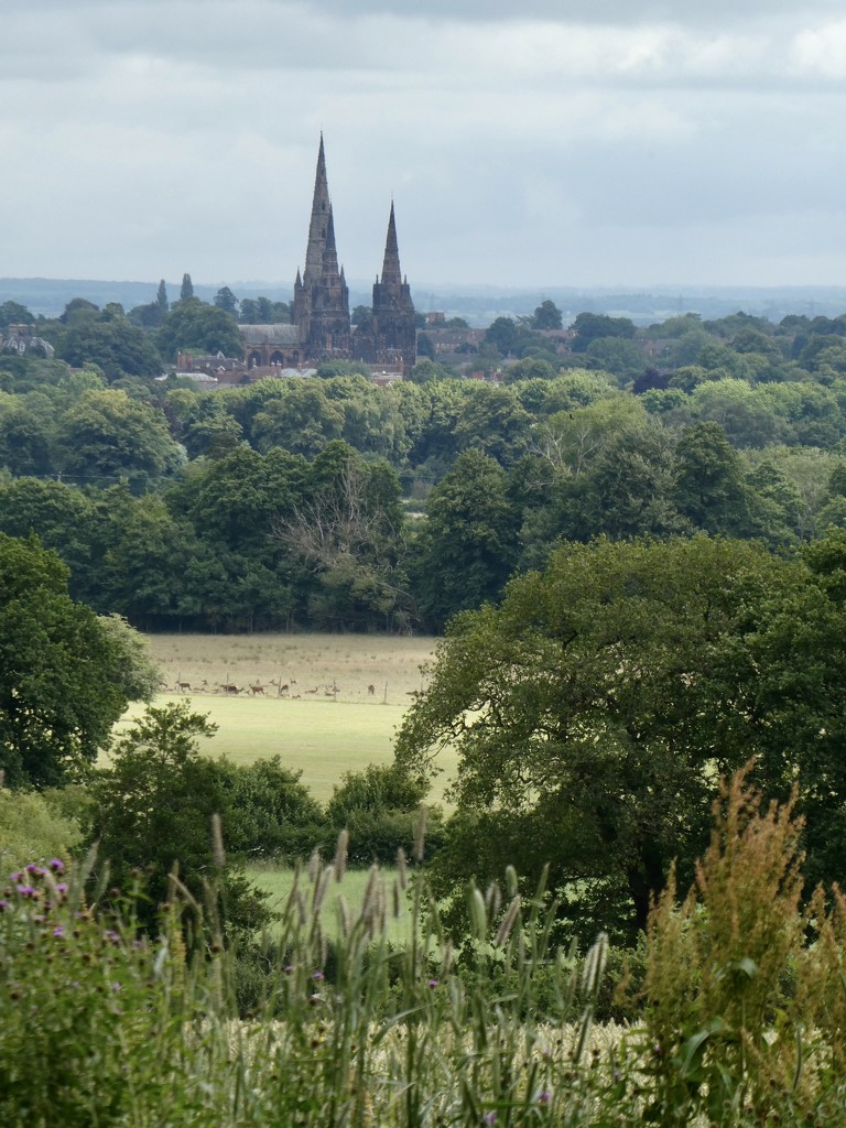 Looking over to Lichfield Cathedral by orchid99