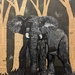 Elephant by gq