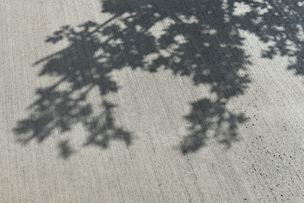 Concrete shadows by homeschoolmom