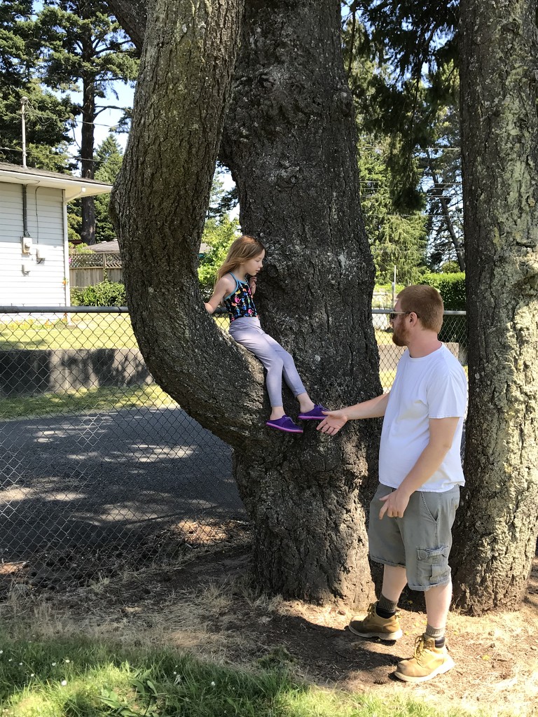 Tree climber by pandorasecho