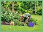 3rd Jul 2020 - Gardener's Little Helper
