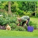 Gardener's Little Helper by carolmw