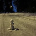 Little snowman in the street by margonaut