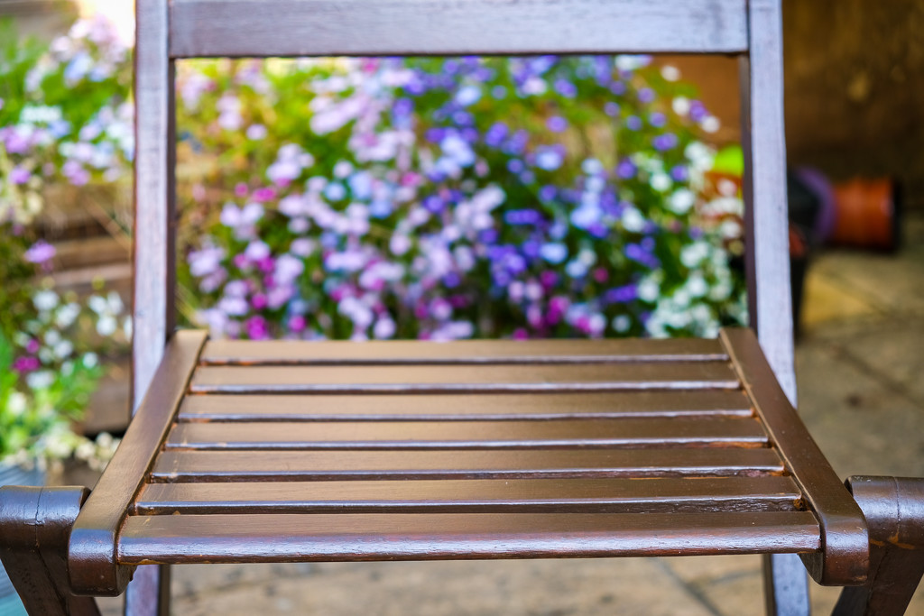 Garden Chair by 365nick