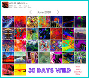 2nd Jul 2020 - 30 Days Wild Calendar Shot