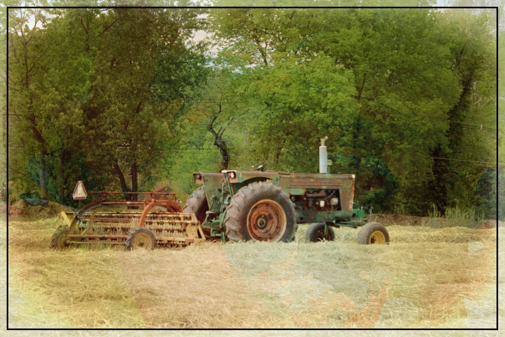 A Tractor in the Hay Field by olivetreeann