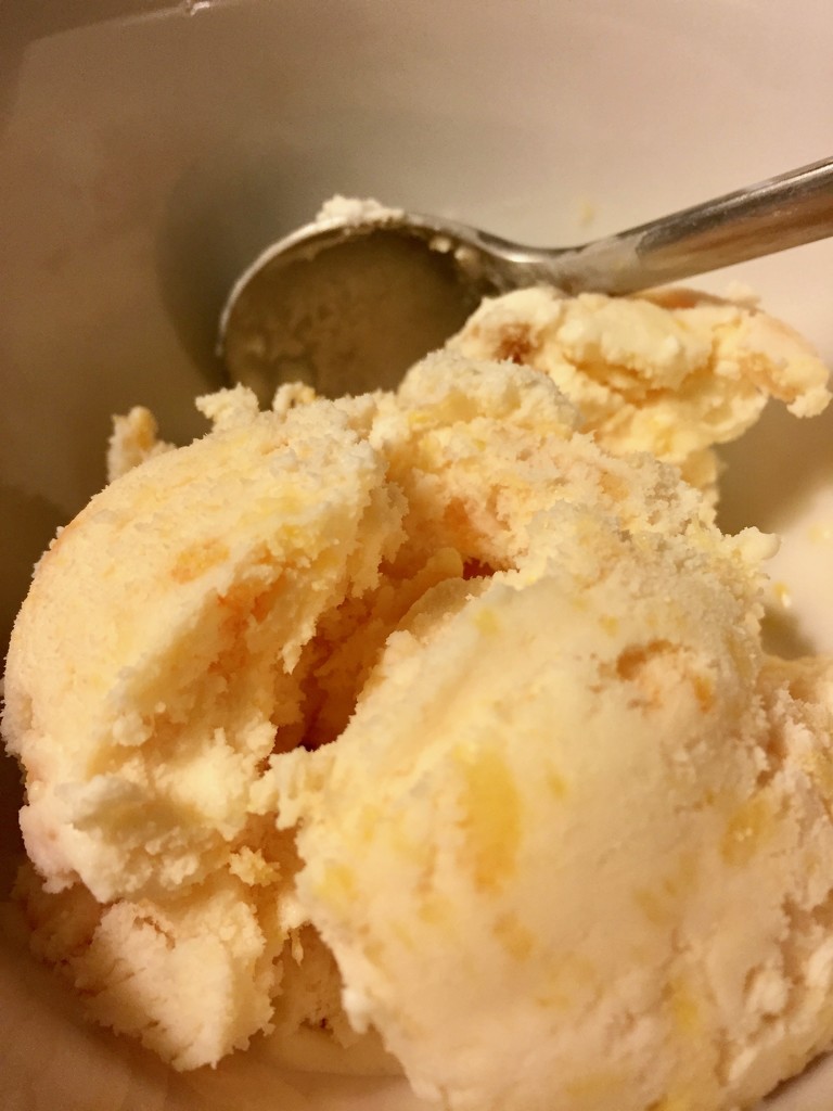 Homemade peach ice cream by margonaut