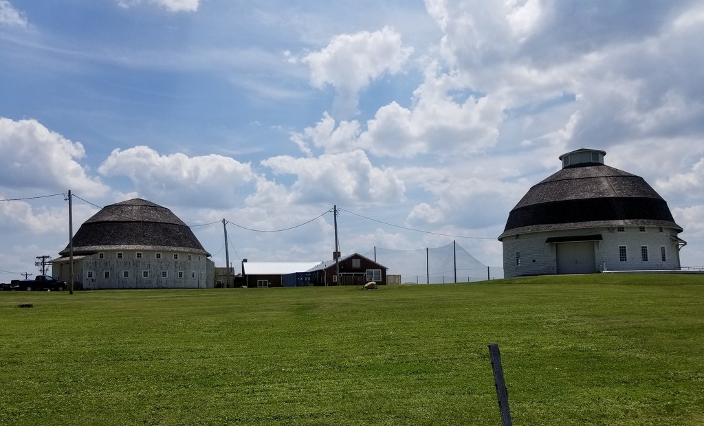 The round barns by scoobylou