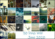 30th Jun 2020 - 30 Days Wild Collage