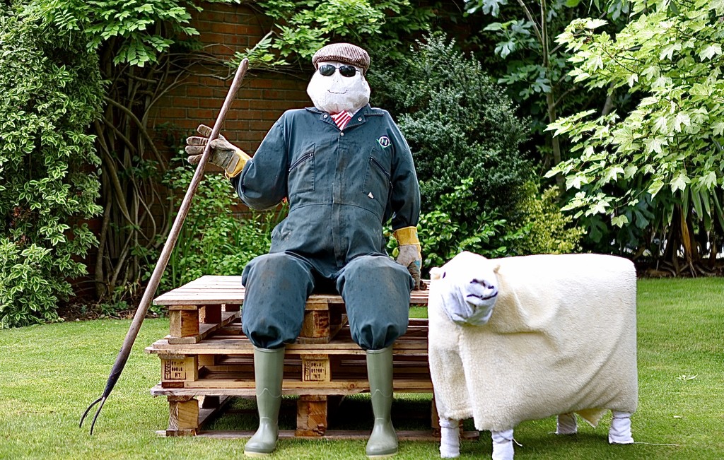 Farmer & Sheep by carole_sandford