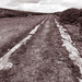 Quarry Road - Haytor by sjc88