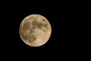 5th Jul 2020 - 4th of July full moon
