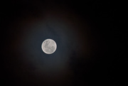 5th Jul 2020 - Full Moon in Capricorn