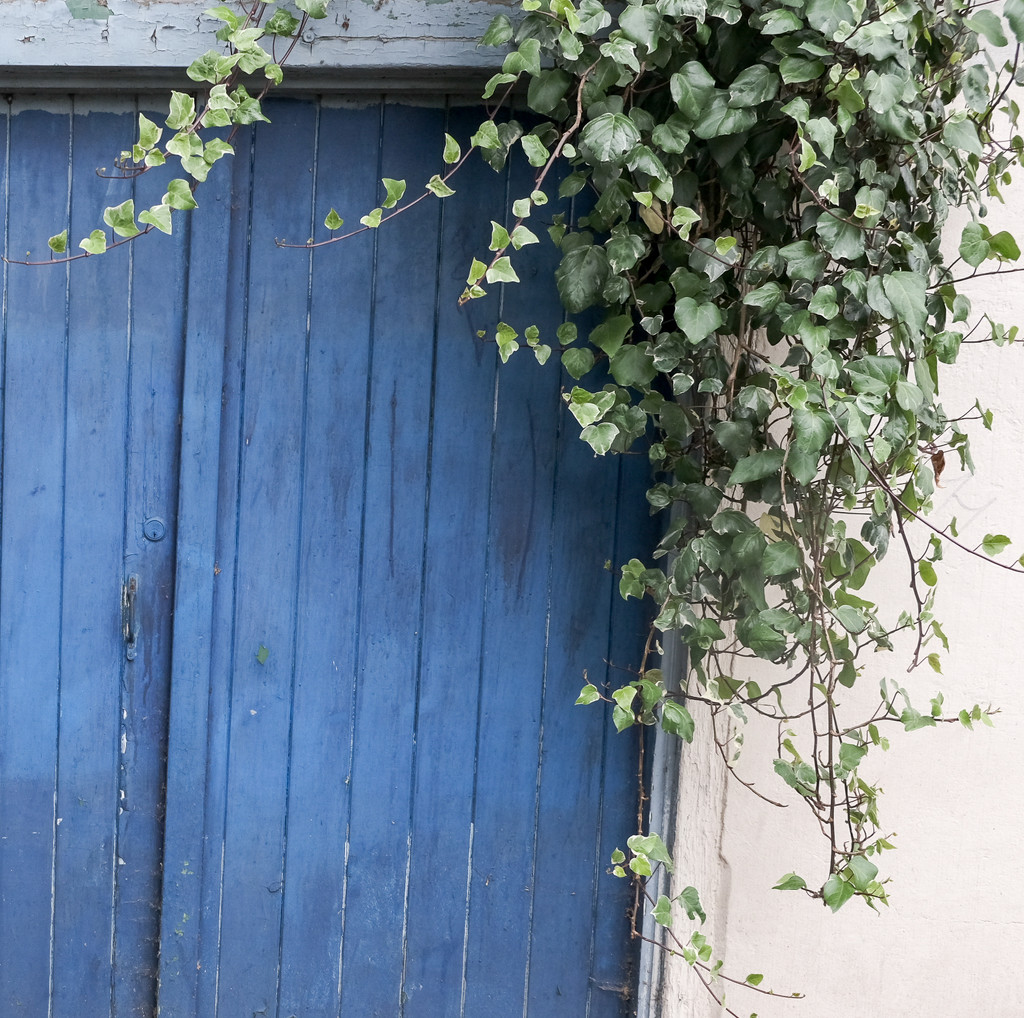 Blue Door by 365nick