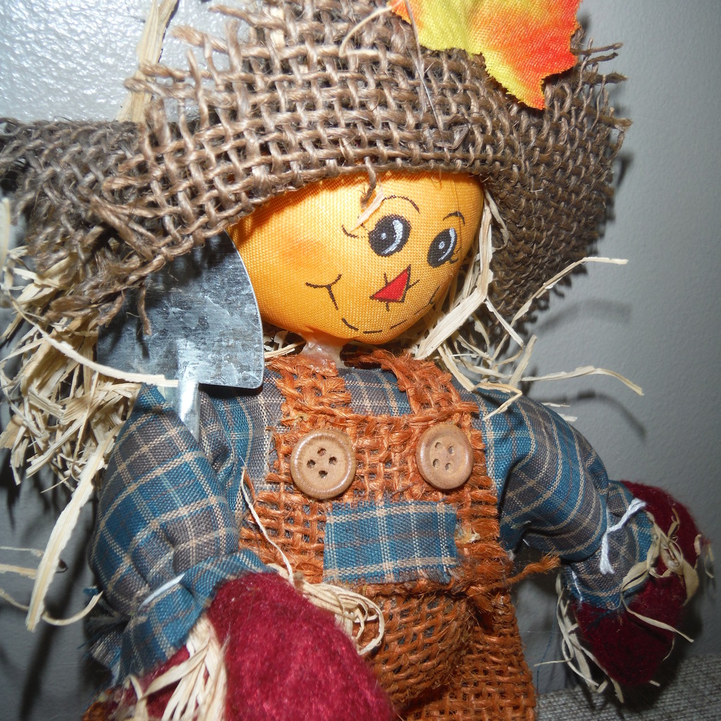 Build a Scarecrow Day by spanishliz