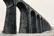 5th Jul 2020 - Under the viaduct 