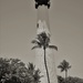 Cape Florida Lighthouse by chejja