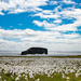 Dore Holm by lifeat60degrees