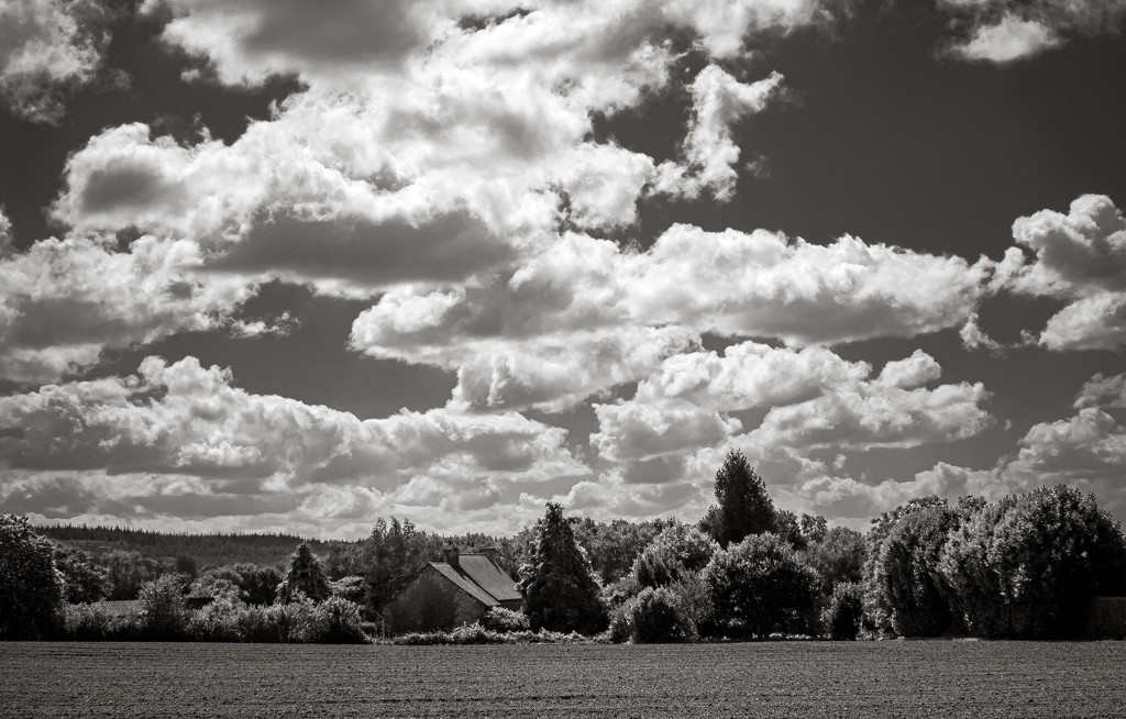 View across the fields... by vignouse