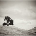 Lone Tree by pixelchix