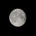 Moon by wakelys