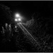 Night Train Coming by chikadnz