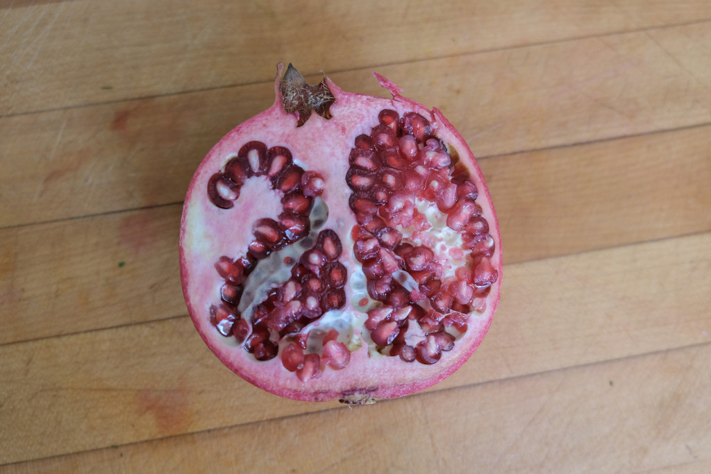 Pomegranate by 365nick