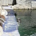 Seal sanctuary at Gweek by jennymdennis