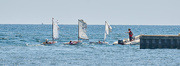 8th Jul 2020 - Sailing Lessons in the Age of Covid19?