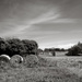 Rural Brittany... by vignouse