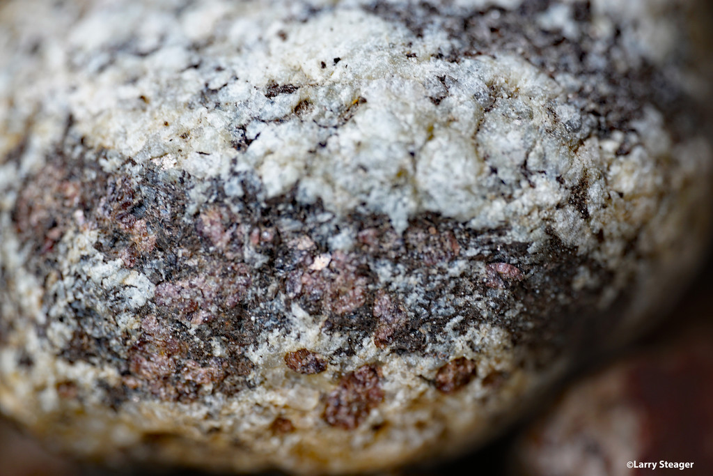 Sedimentary rock by larrysphotos