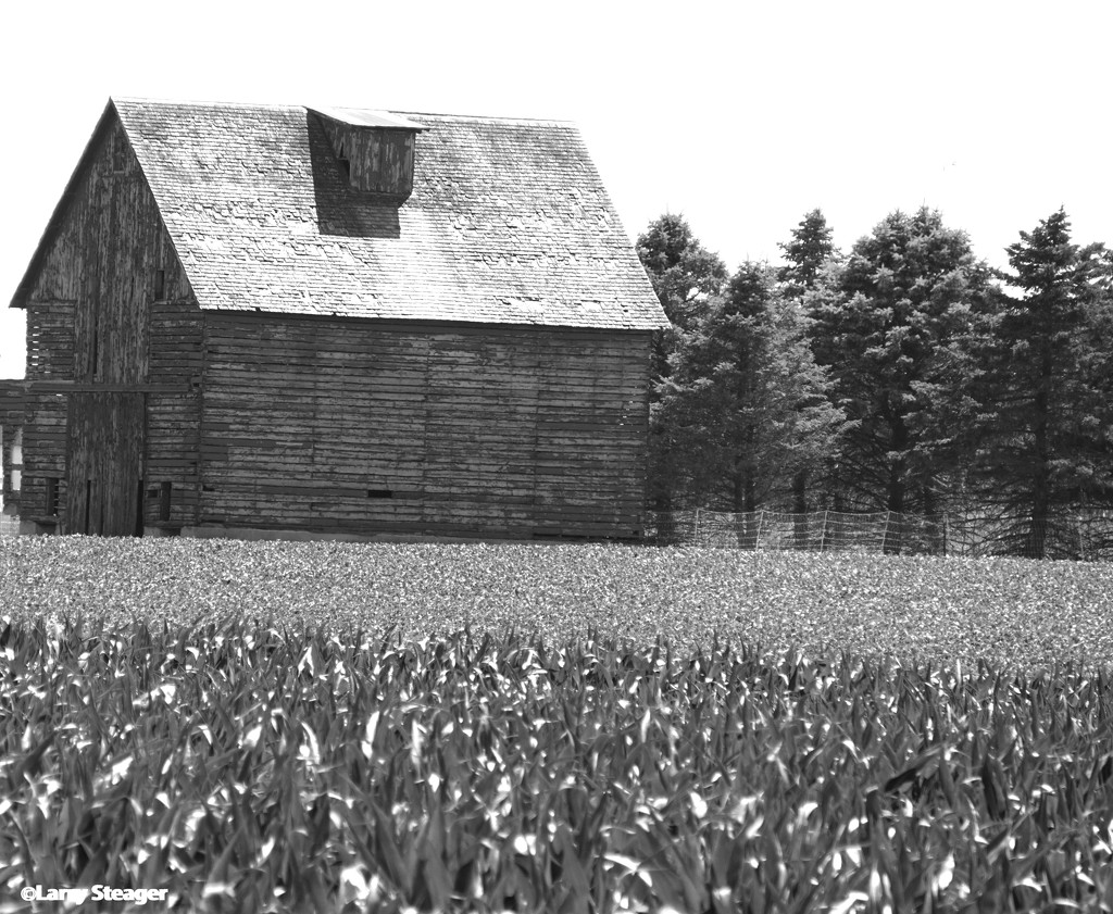 Corn barn B&W by larrysphotos