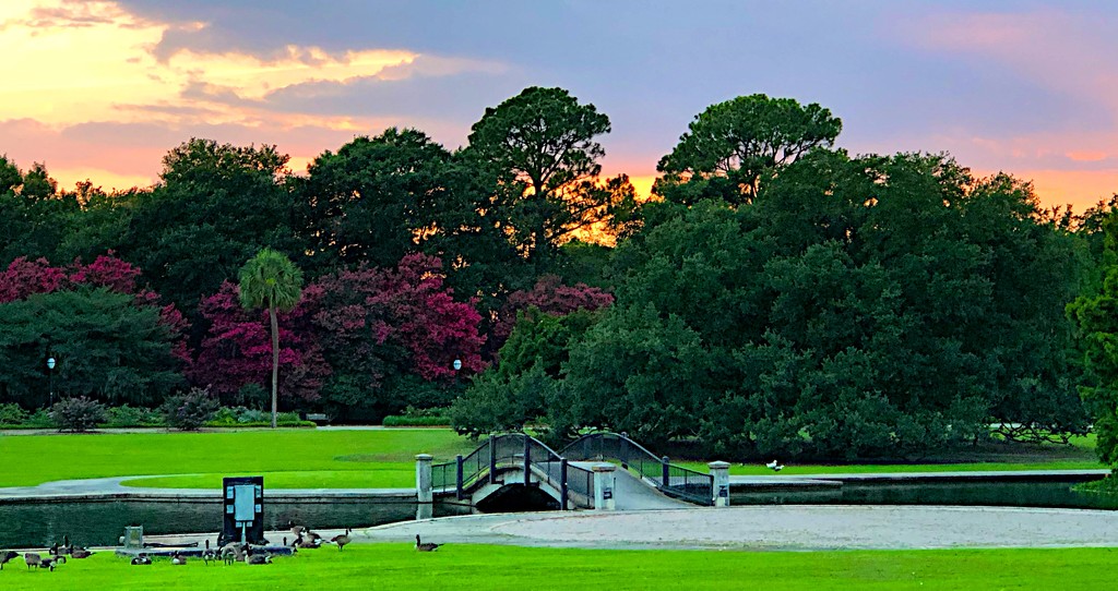 Hampton Park by congaree
