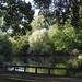 Vernon Park Pond  (1) by oldjosh