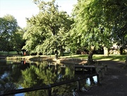 21st Jun 2020 - Vernon Park Pond  (2)