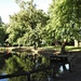 Vernon Park Pond  (2) by oldjosh