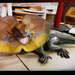 Fake Lizard by jeffjones