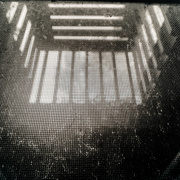 27th Jun 2020 - Window Prison