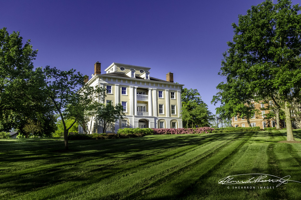 Magnificent Front Lawn by ggshearron