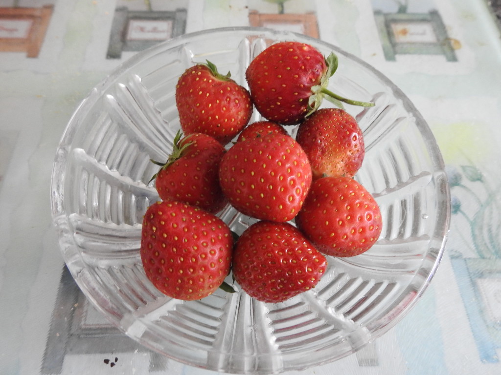 Strawberries by oldjosh