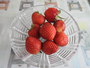 26th Jun 2020 - Strawberries
