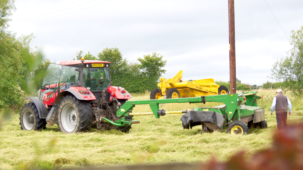 Field cut for hay by jon_lip