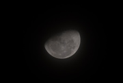 10th Jul 2020 - Tonight's Moon