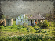 11th Jul 2020 - A little abandoned house