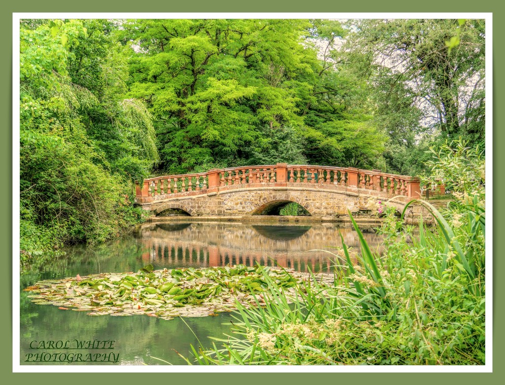 The Old Bridge,Castle Ashby Gardens by carolmw